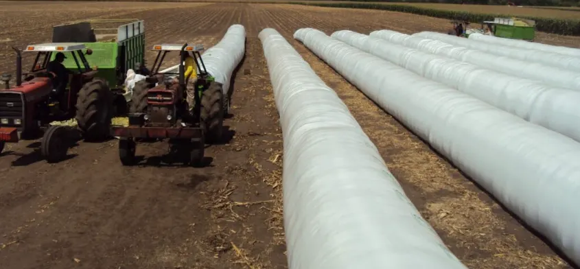 Por pronóstico de “Super Niño” explican cómo preparar los silo-bolsas para reducir riesgos