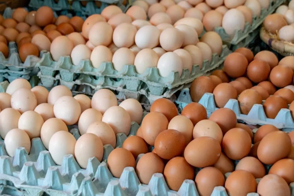 ¿Por qué razones aumentó el consumo de huevos en la Argentina?