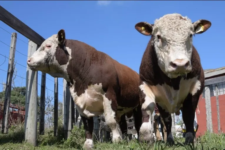 Por segundo año consecutivo no hubo Exposición Rural en Concordia