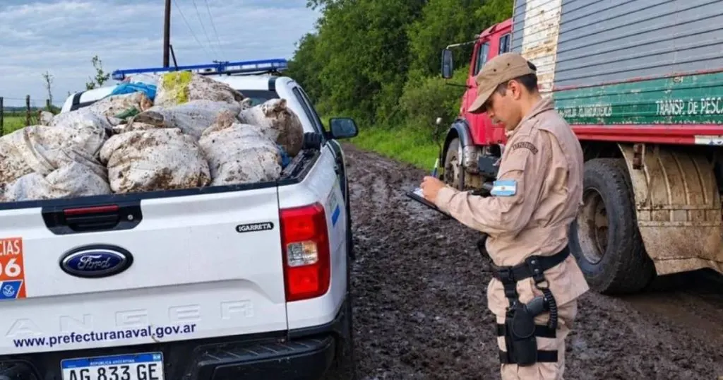 Prefectura incautó en Gualeguaychú más de 700 kilos de pescado transportados de manera irregular