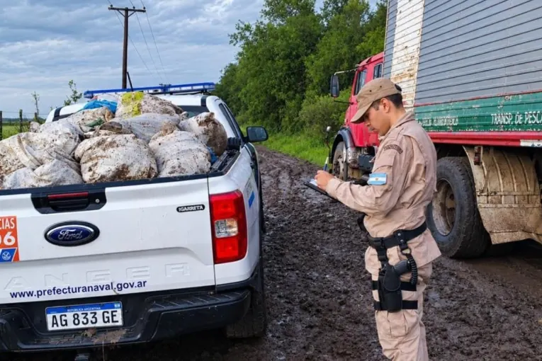 Prefectura incautó en Gualeguaychú más de 700 kilos de pescado transportados de manera irregular