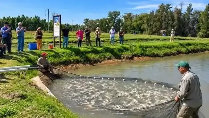 Productores y técnicos analizaron cómo hacer rentable el negocio del pescado