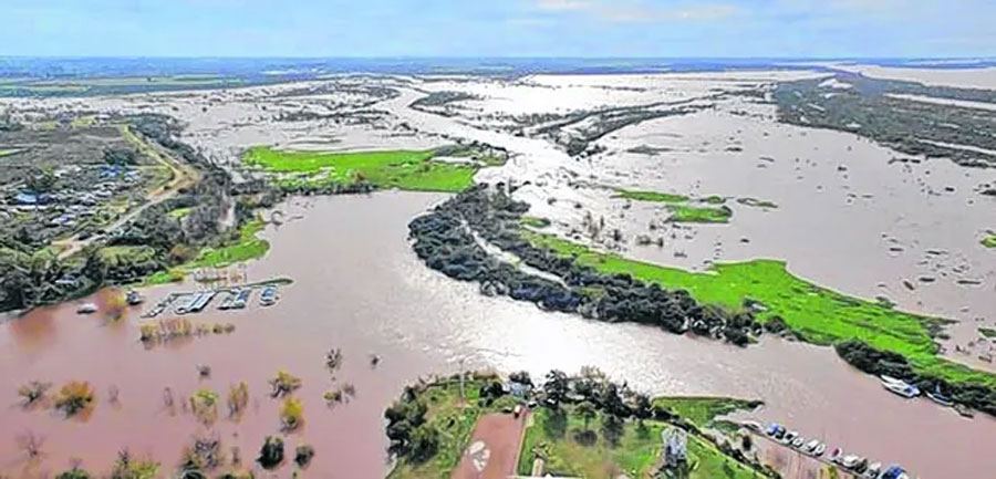 Proponen declarar la emergencia agropecuaria por las crecidas de los ríos Paraná y Uruguay