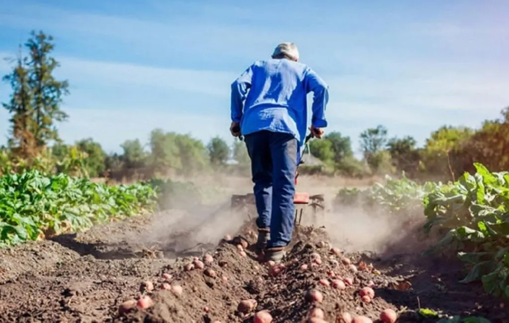 Prorrogaron por un año los beneficios sociales para trabajadores rurales temporarios