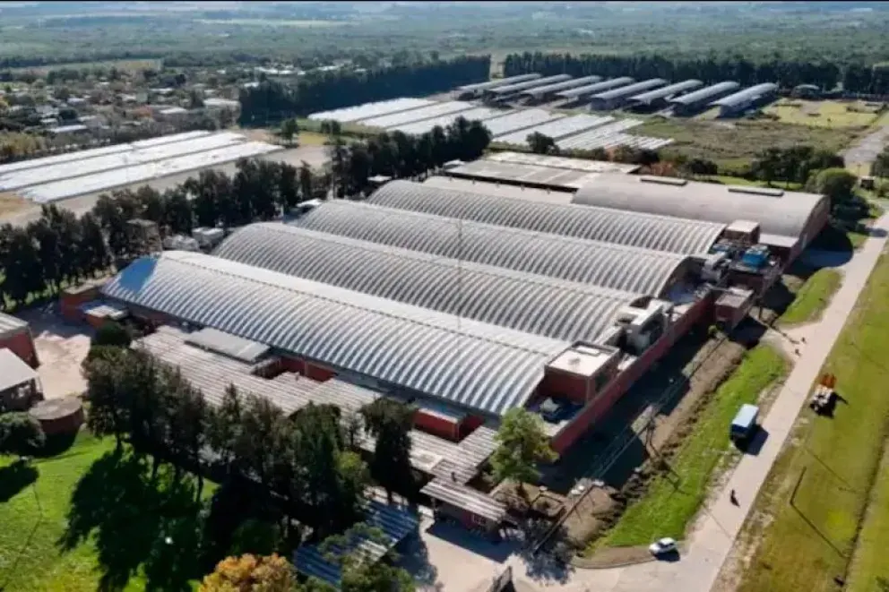 Quebró una importante algodonera santafesina y crece la incertidumbre por 350 empleos