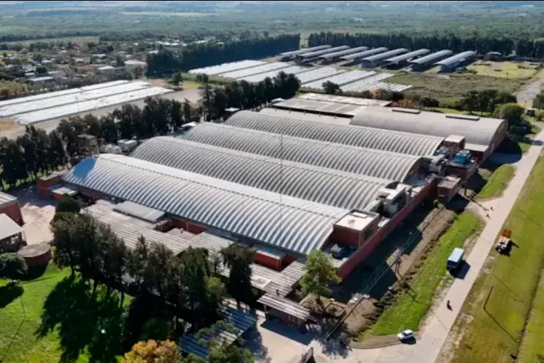 Quebró una importante algodonera santafesina y crece la incertidumbre por 350 empleos