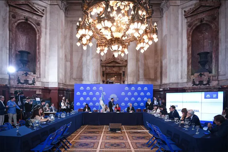 Reforma de la Ley de Salud Mental: el Senado avanzó con las internaciones involuntarias y las adicciones