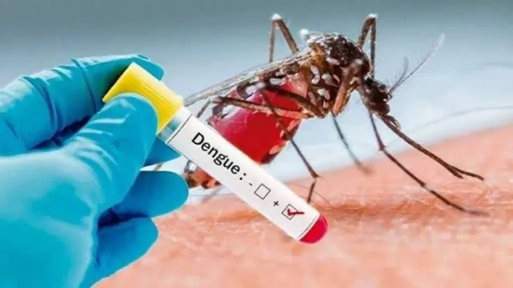 Reportan tres casos autóctonos de dengue en Concepción del Uruguay, entre confirmados y sospechosos