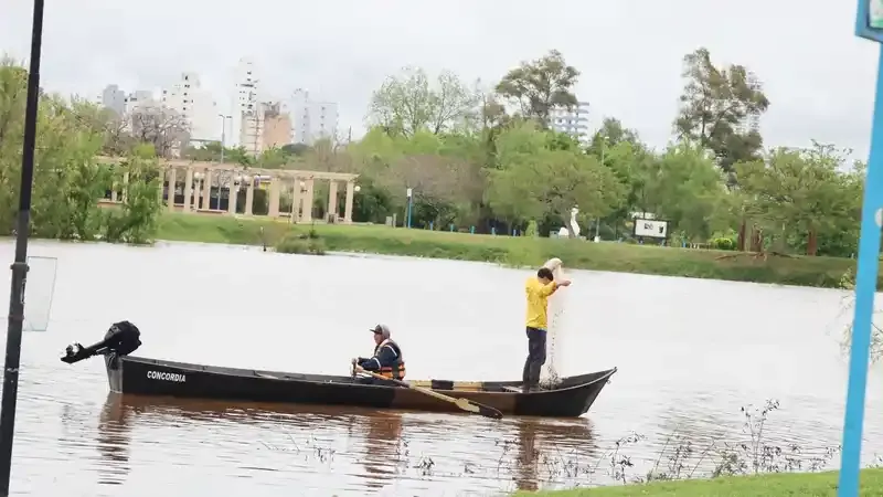 Río Uruguay: Concordia mantiene el monitoreo y ya hay siete familias evacuadas