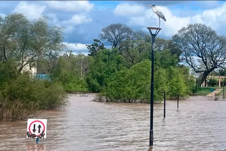 Río Uruguay: prevén un lento descenso, pero la alerta continuará durante los próximos días