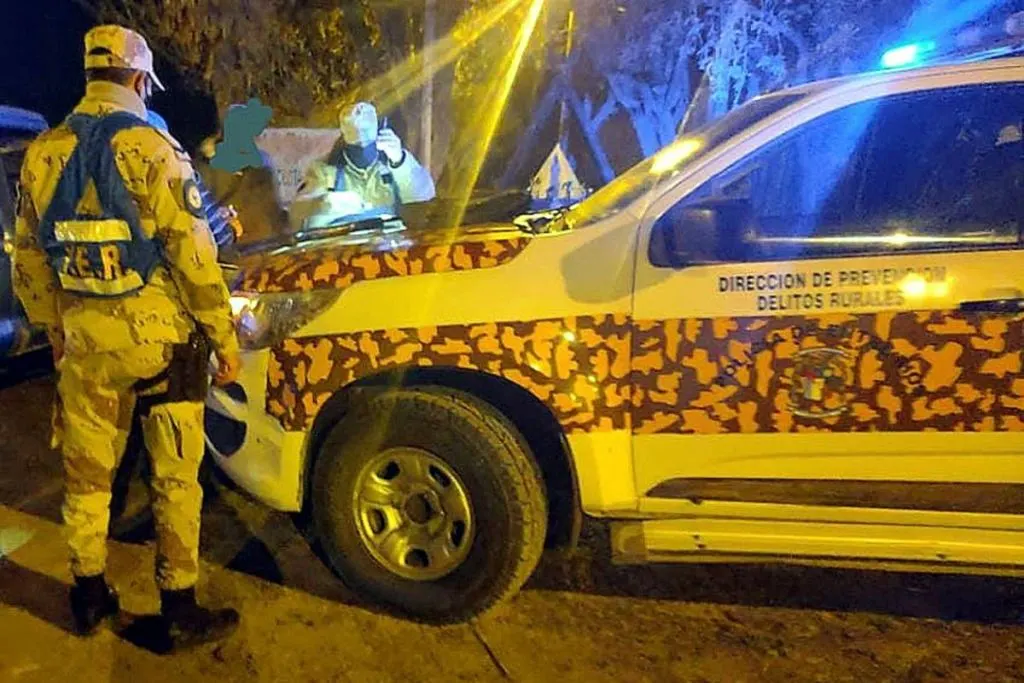 Robos de ganado en Entre Ríos: productores encierran la hacienda cerca de sus casas y uno corrió a latigazos a dos ladrones