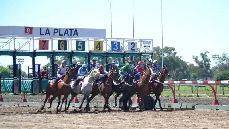 Sábado 24: Actividad Hipódromo de La Plata