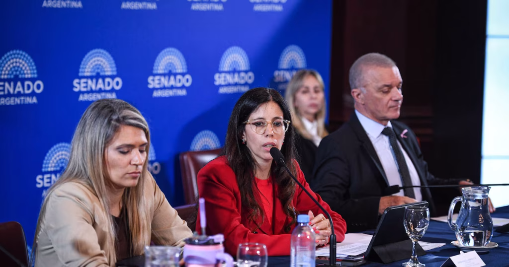 Salud mental: el Senado no logra cerrar el dictamen por disidencias