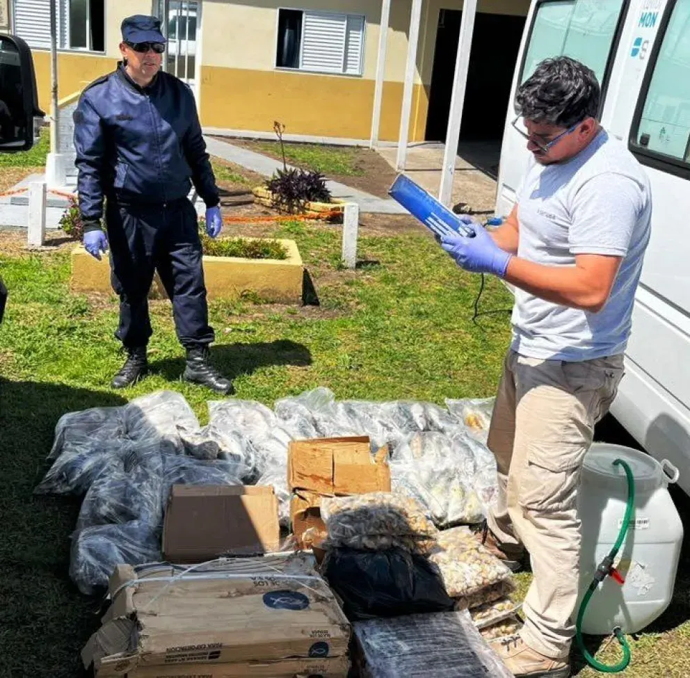 Se detectaron 200 kilos de pescados de mar y mariscos transportados de manera irregular en Entre Ríos