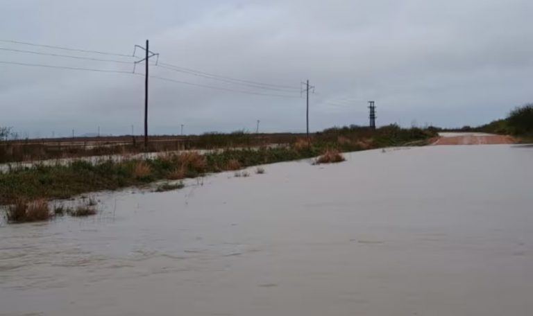 “Se nos viene la noche”: la crecida del río Uruguay por El Niño enciende las alarmas en campos de Corrientes y Entre Ríos