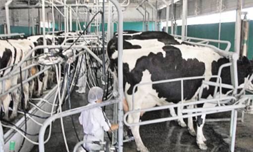 Sector lácteo: “el productor tiene el precio más bajo de los últimos 10 o 20 años, el peor precio del mundo”