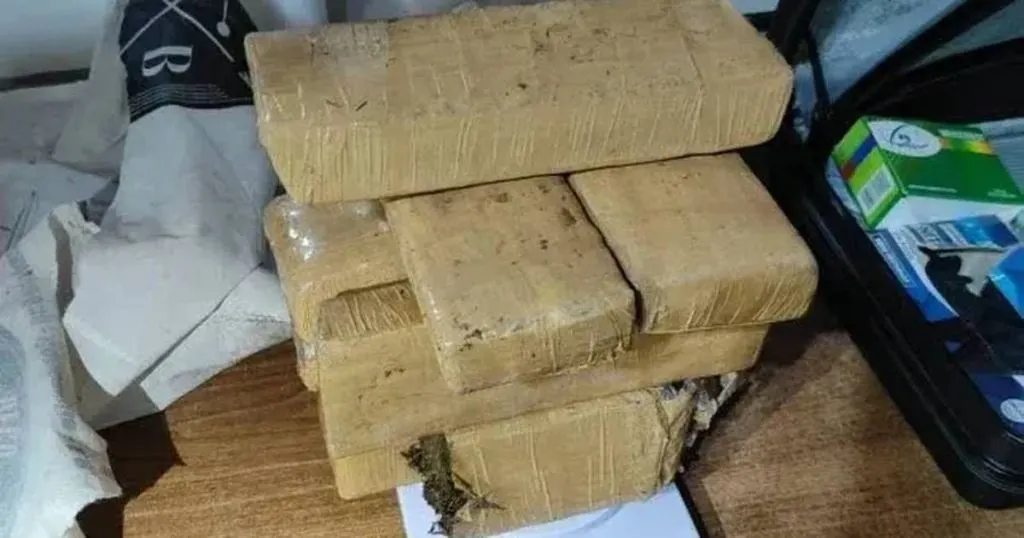 Secuestraron 10 kilos de marihuana y cocaína en allanamientos en seis ciudades de Entre Ríos