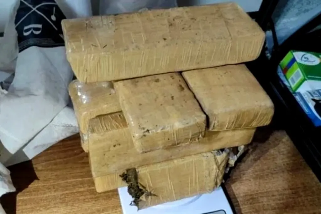 Secuestraron 10 kilos de marihuana y cocaína tras allanamientos en 6 ciudades de Entre Ríos