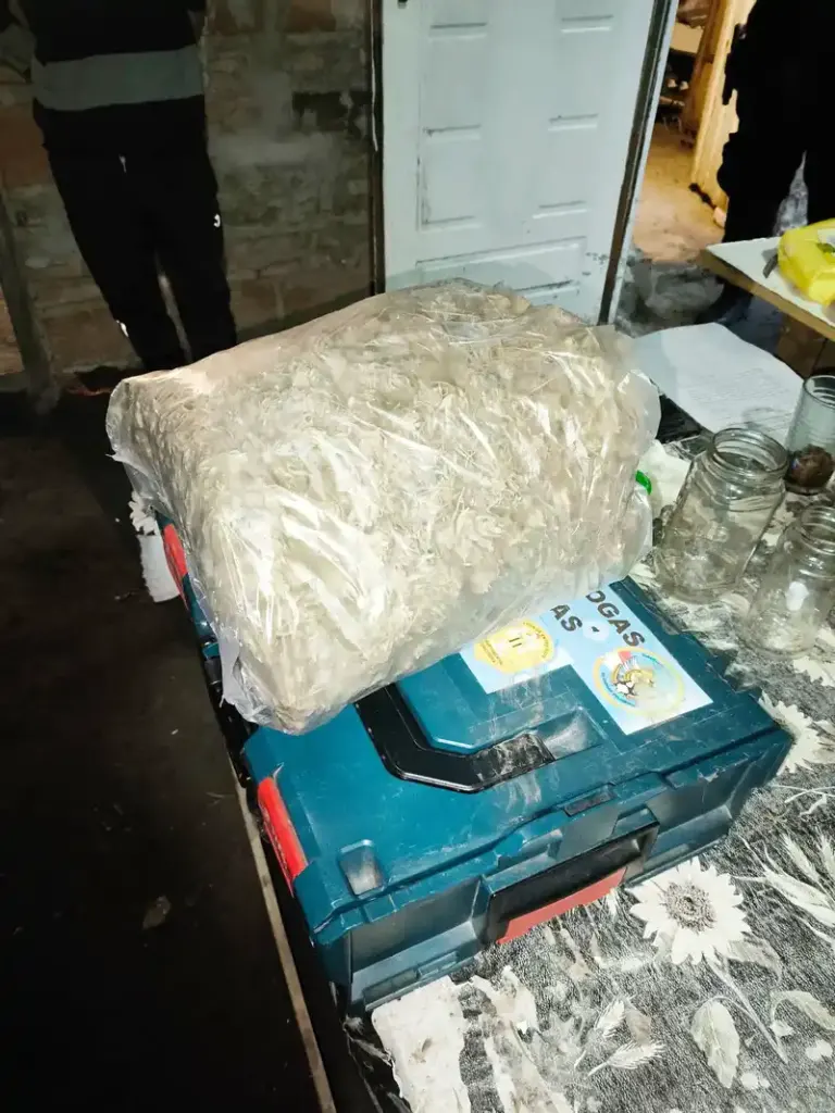 Secuestraron marihuana y detuvieron a tres personas tras un allanamiento