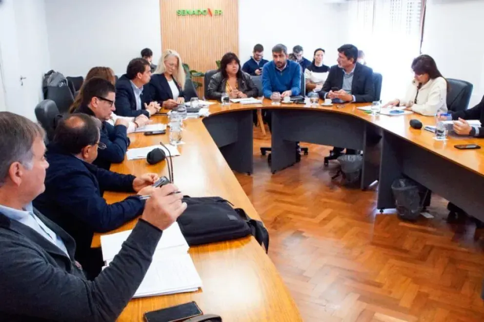 Seguirá en análisis el proyecto sobre Transparencia y Ética en el Senado
