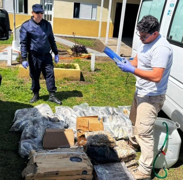 Senasa decomisó 200 kilos de pescados y mariscos en Sauce de Luna