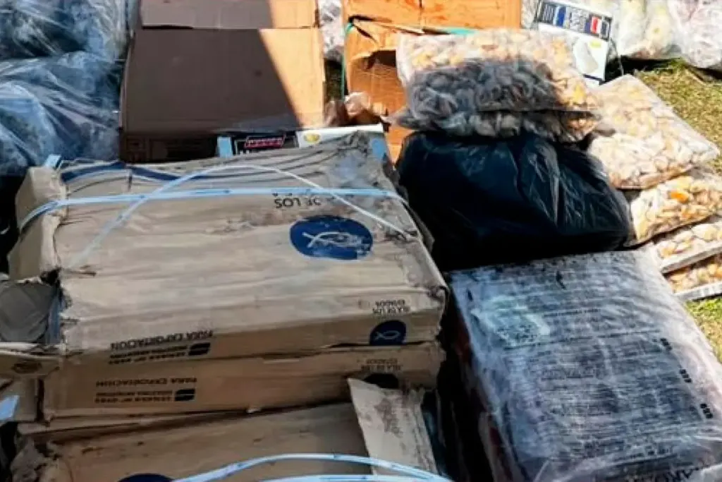 SENASA decomisó 200 kilos de pescados y mariscos trasladados de forma irregular por la Ruta 127