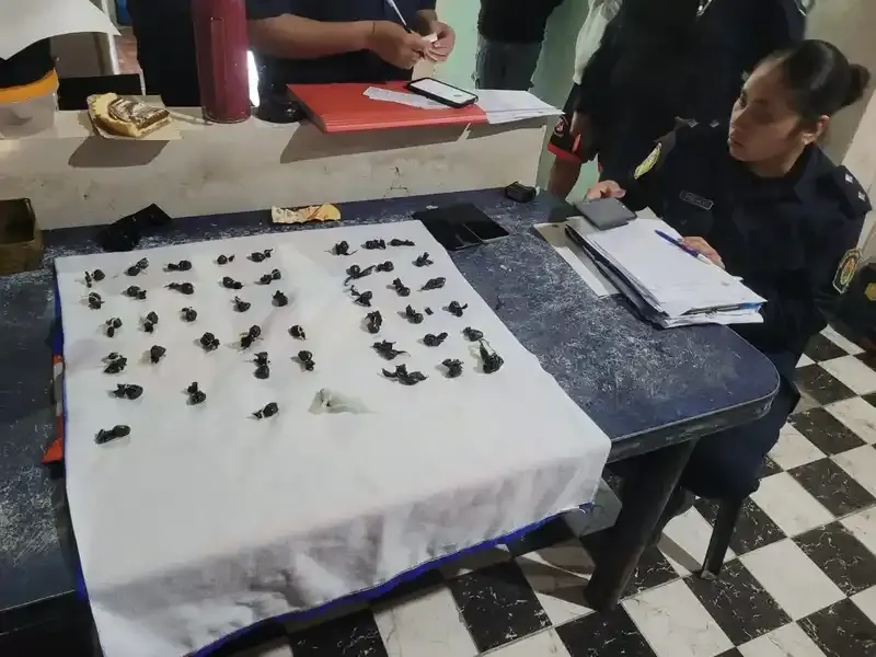 Siete detenidos en Concordia por presunta venta de estupefacientes