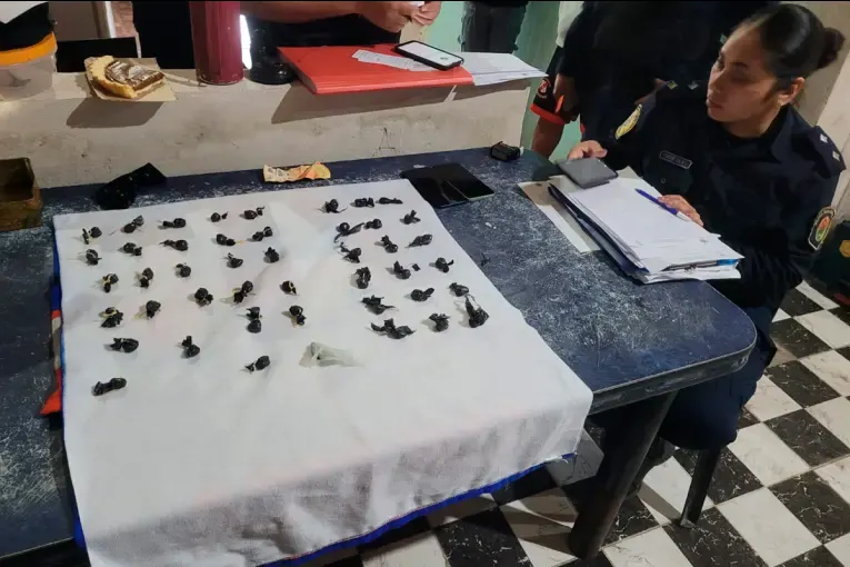 Siete detenidos tras allanamientos: secuestraron 120 envoltorios de droga, celulares y dinero