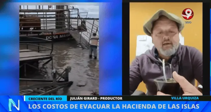Siguen sacando hacienda de las islas ante la creciente: “Los productores van a tener pérdidas”
