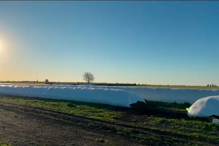 Silobolsas: cómo proteger los granos y el forraje ante las lluvias previstas por El Niño