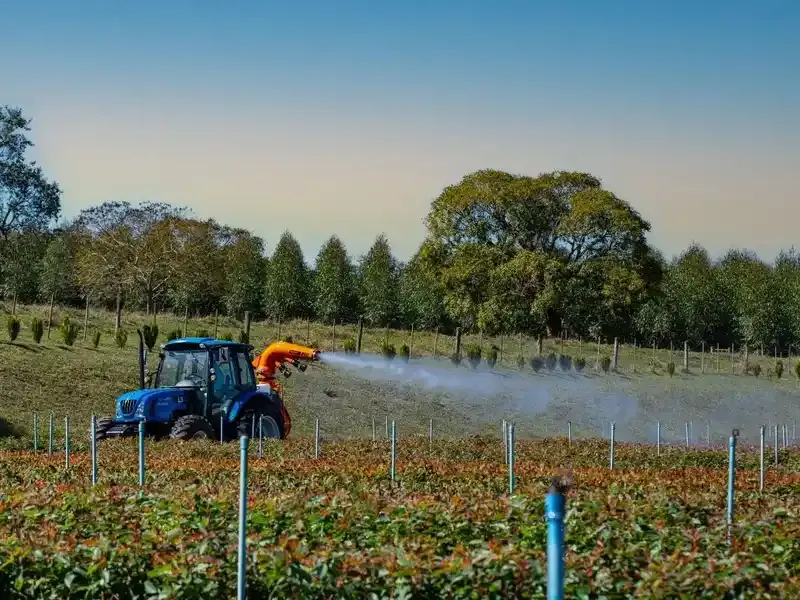 Sin retenciones, la agroindustria podría reducir a la mitad el desempleo
