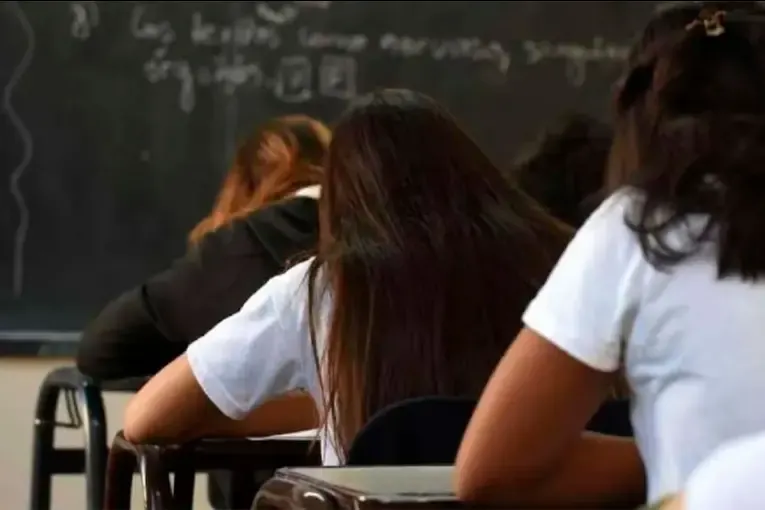 Solo 19 de cada 100 adolescentes de 15 años en Argentina avanzan sin retraso escolar y alcanzan los aprendizajes esperados