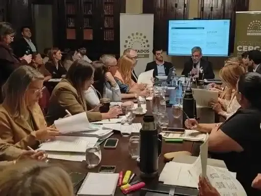 Stratta: “Es un proyecto de presupuesto electoral”