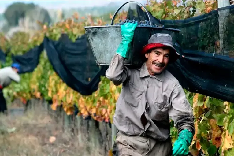 Sueldo UATRE: cuánto cobra un peón rural en octubre y noviembre de 2026
