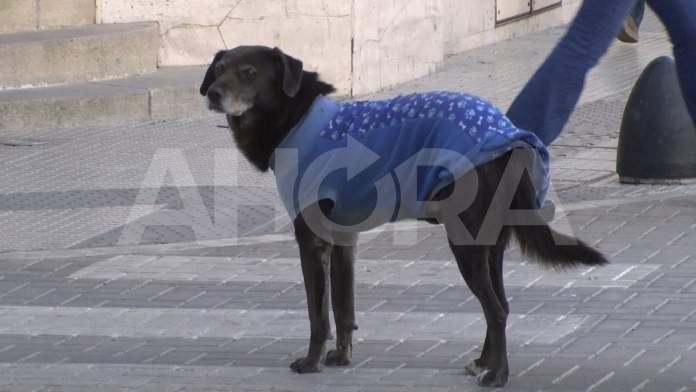 Tiempo en Entre Ríos: llega un frente frío y pronostican mínimas de 7 grados