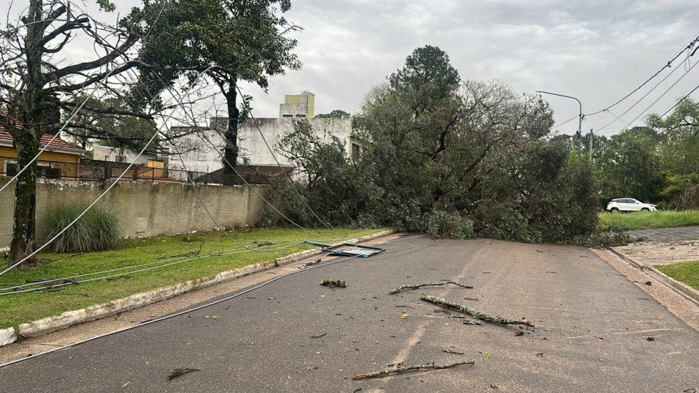 Tras la tormenta, la municipalidad interviene en distintos sectores de la ciudad