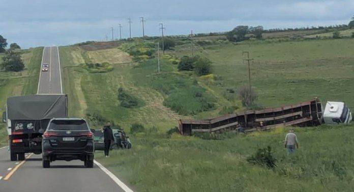 Un camión con animales despistó cerca del cruce de las rutas 131 y 11