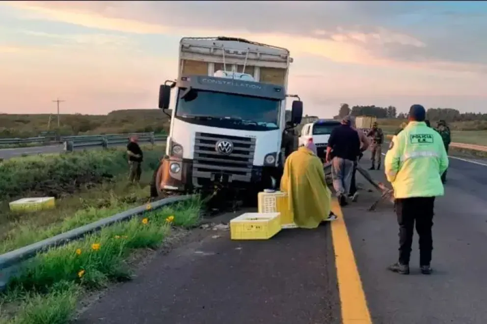 Un camión despistó de madrugada en la Autovía 14: un ciervo se había cruzado en su camino