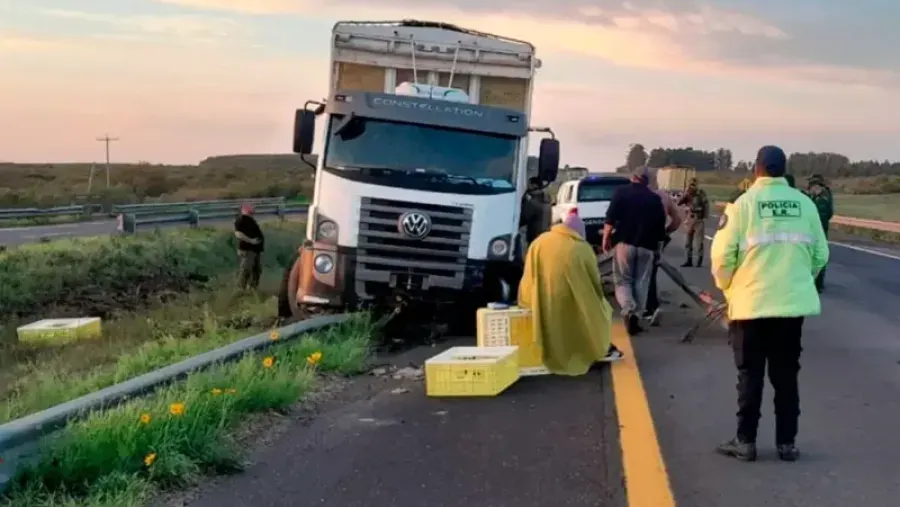 Un camión despistó esta madrugada en la Autovía 14 al intentar esquivar un ciervo