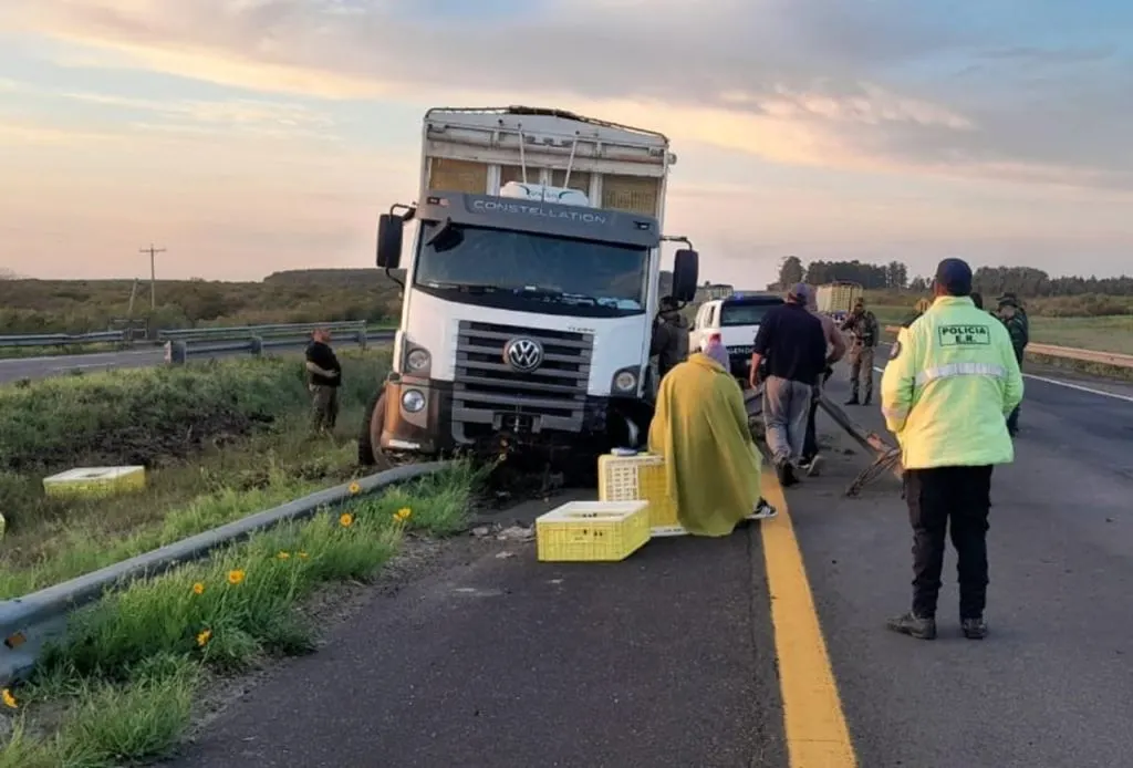 Un camión esquivó un ciervo en la Autovía 14 y despistó