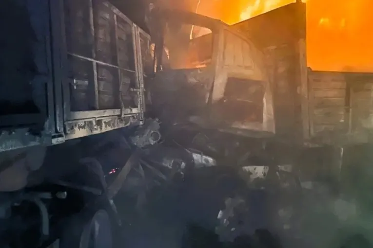 Un camionero murió tras un choque e incendio sobre el complejo Zárate-Brazo Largo