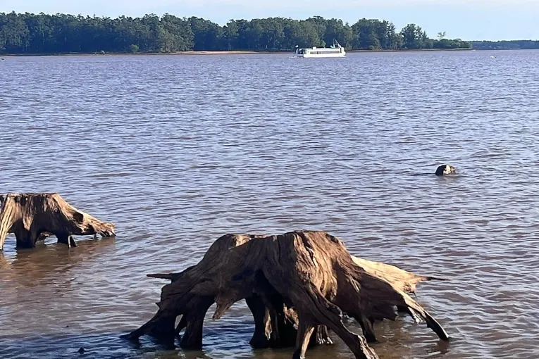 Un informe oficial precisa que la bajante gradual del río Uruguay duraría al menos una semana