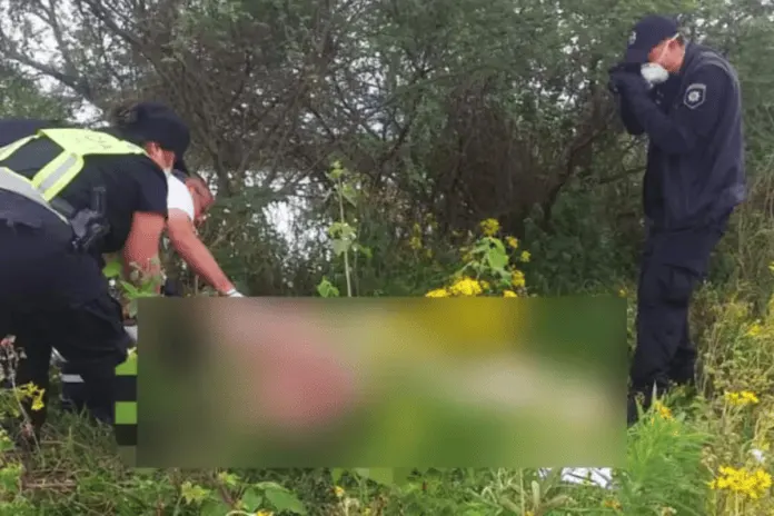 Un trabajador rural murió mientras trasladaba ganado por la creciente