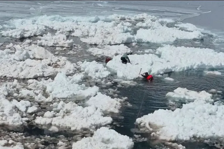 Una avalancha arrastró a siete montañistas en Chile: tres murieron y hay una argentina entre los afectados