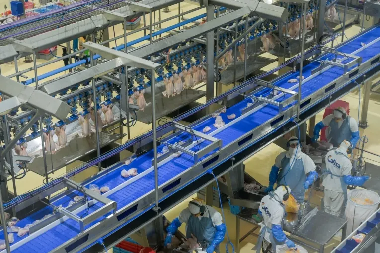 Una avícola entrerriana invirtió 45 millones de dólares para producir más y ampliar sus exportaciones