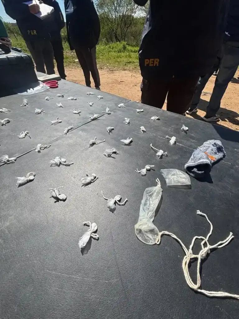 Una encargada de una cuadrilla de cosecha llevaba envoltorios de cocaína en un preservativo