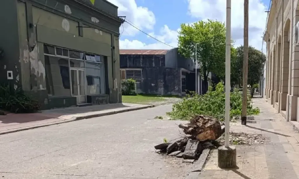 Una mujer de Rosario del Tala resultó gravemente lesionada