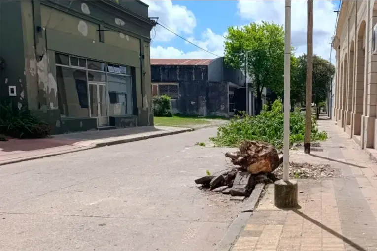 Una mujer sufrió una fractura de fémur tras caerle una rama mientras podaban árboles
