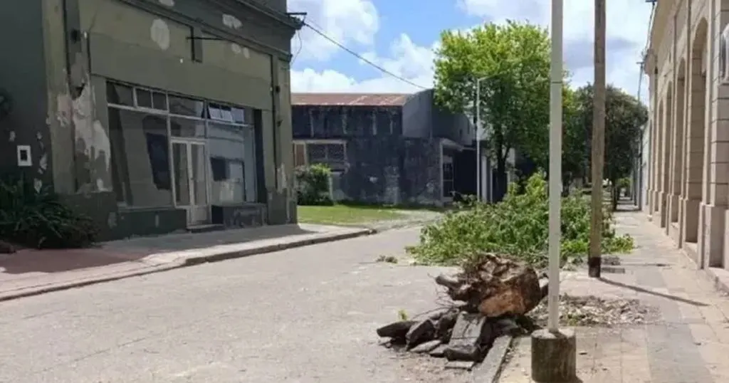 Una mujer sufrió una grave fractura tras ser golpeada por ramas que cortaba personal municipal