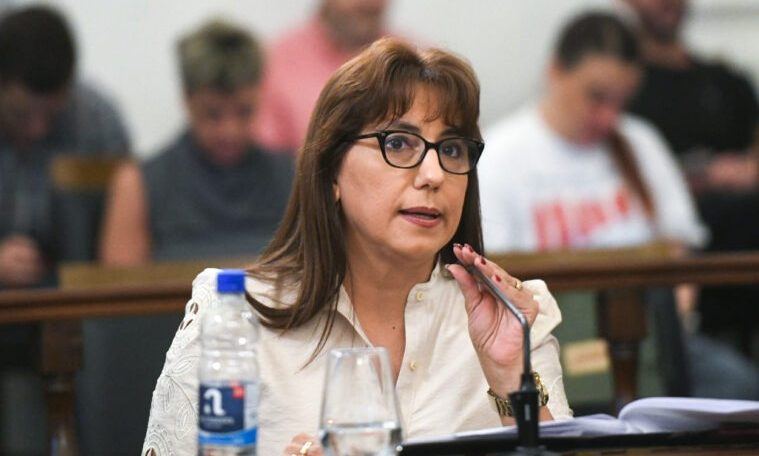 Una senadora peronista, a favor de suspender las PASO